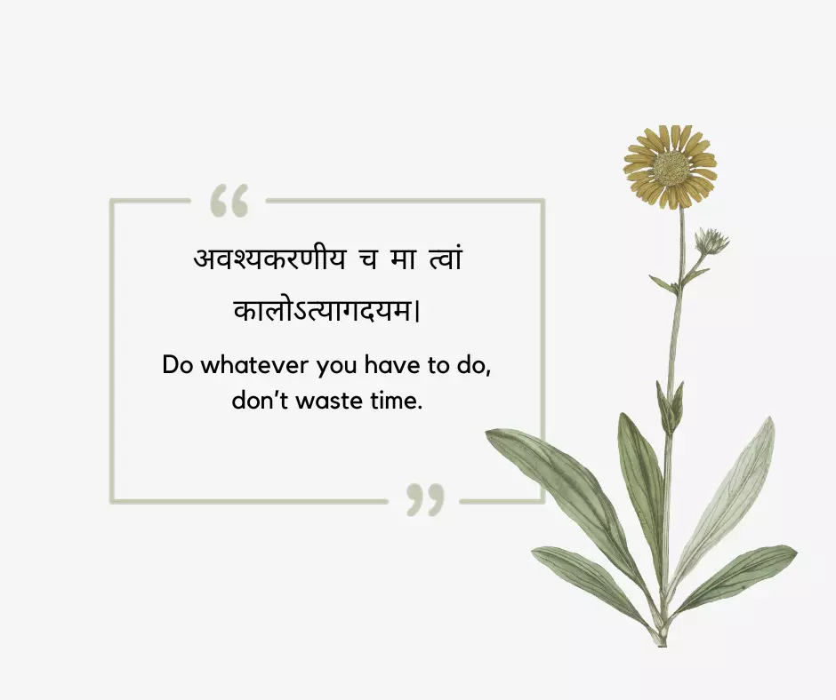 Sanskrit Quotes On Karma 2