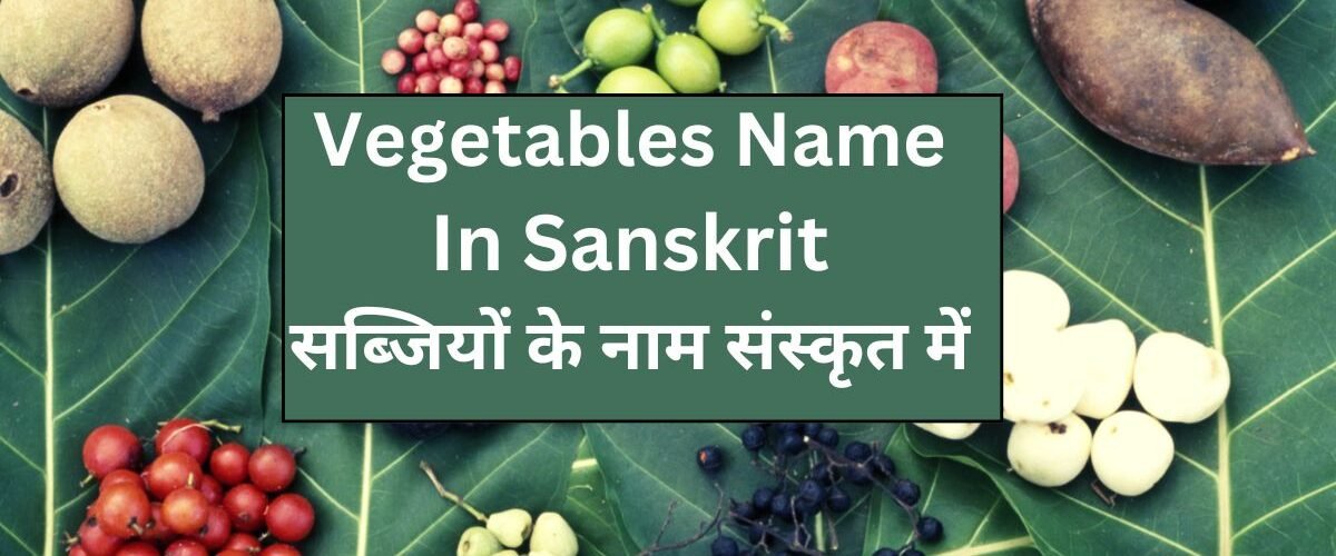 Vegetables Name in Sanskrit Banner