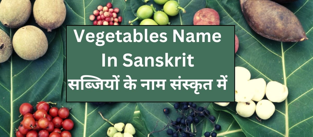 Vegetables Name in Sanskrit Banner