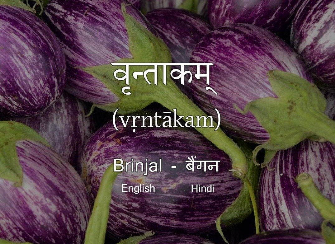 Vegetables Name in Sanskrit Brinjal