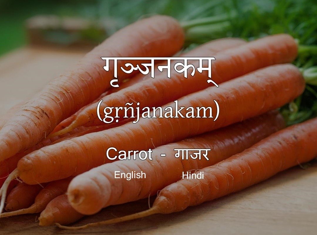 Vegetables Name in Sanskrit Carrot