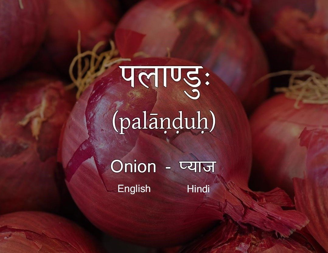 Vegetables Name in Sanskrit Onion