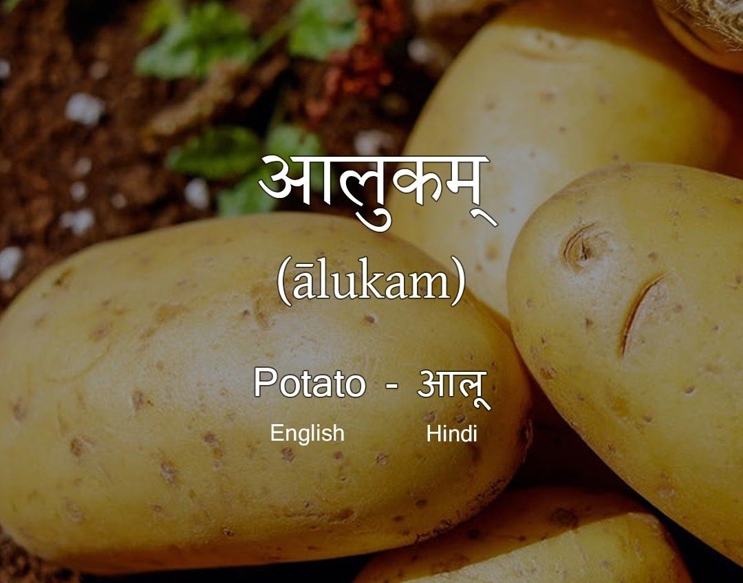 Vegetables Name in Sanskrit Potato