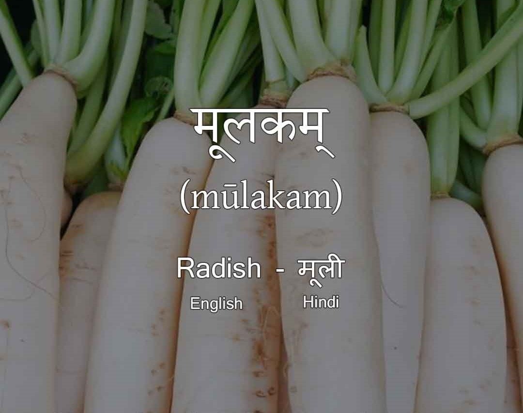 Vegetables Name in Sanskrit Radish